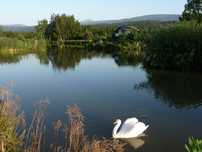 Domek Letniskowy Agroturystyka Karkonosze 10 osob