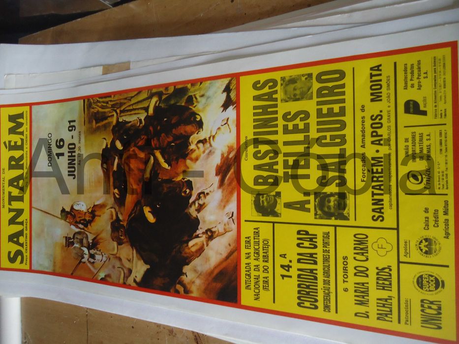 Toiros - Cartazes de Montra 12