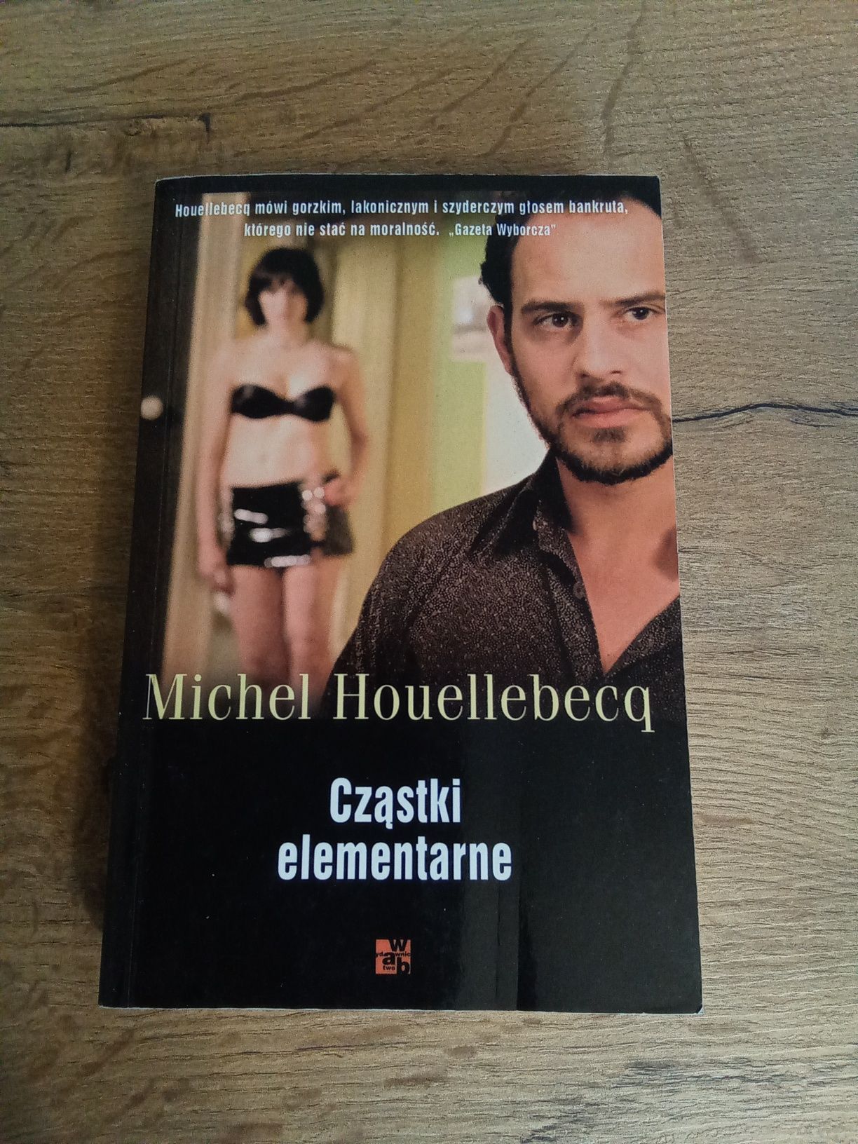 Cząstki elementarne Michel Houellebecq