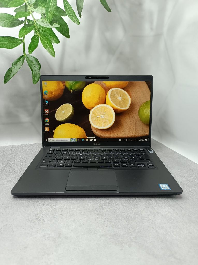 Сенсорний ноутбук Dell Latitude 5400/i5-8265U/8 GB/256/14"/Full HD IPS