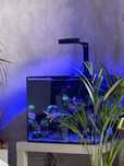 Aquario marinho waterbox
