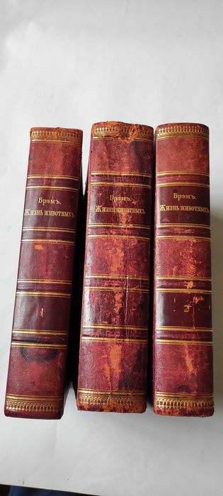 Жизнь животных Брэма. В трех томах. 1904 г.