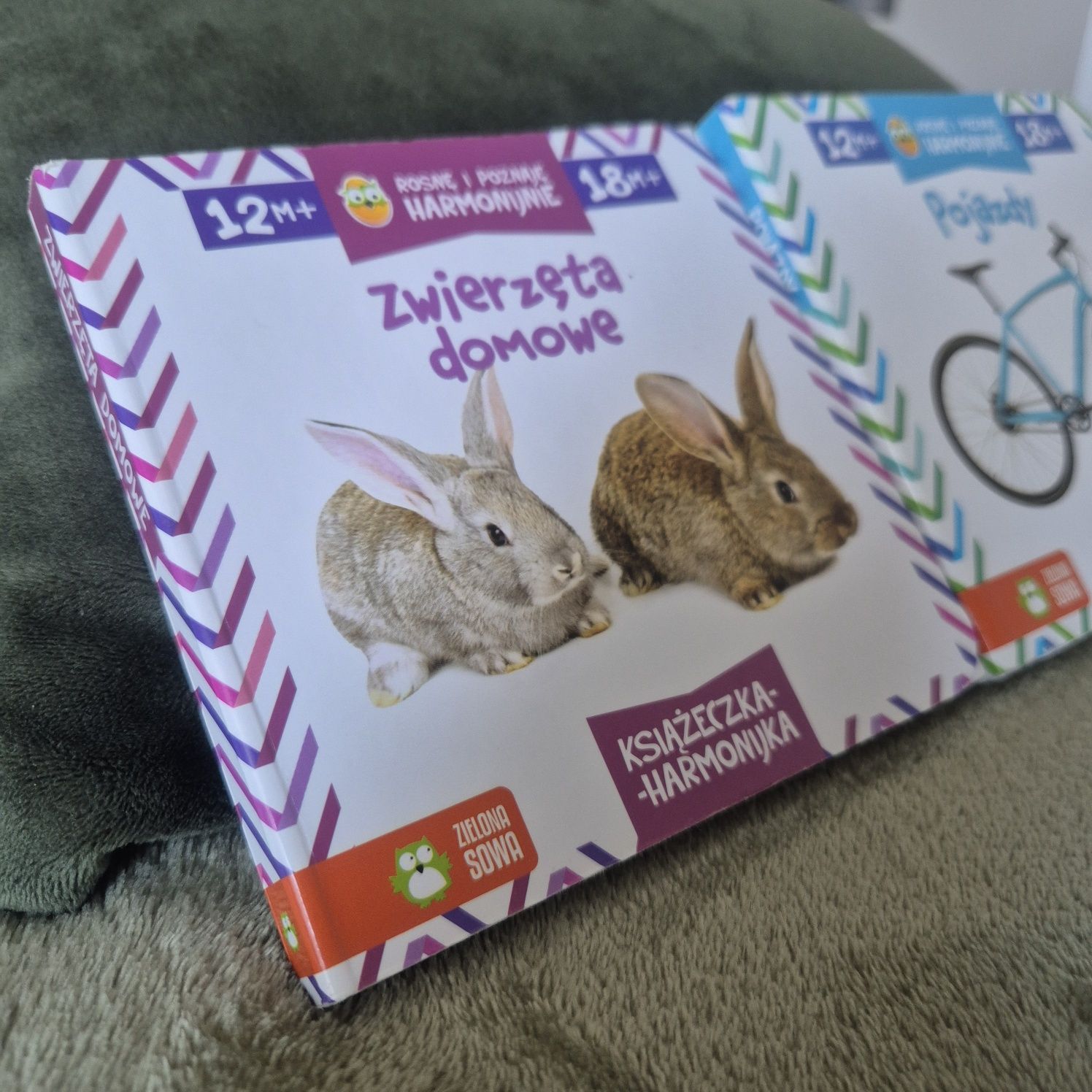 Książeczka harmonijka zwierzęta domowe + pojazdy