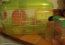 Gaiola e Transportador para Hamsters c/ acessórios