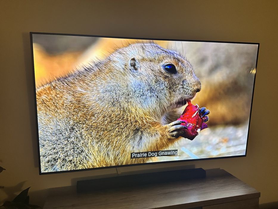 TV LG OLED 65" 4K 100Hz OLED65BX3LB bez wypaleń