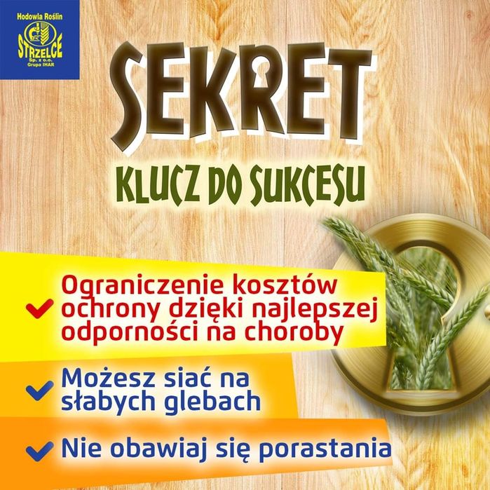 Kwalifikowany Materiał Siewny Pszenica ozima, Pszenżyto ozime, Żyto