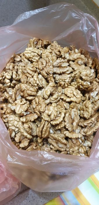Продам горіх волоський урожай 2025року