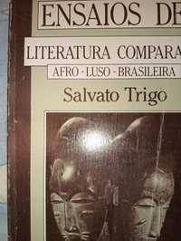 Ensaios de literatura comparada afro luso brasileira
