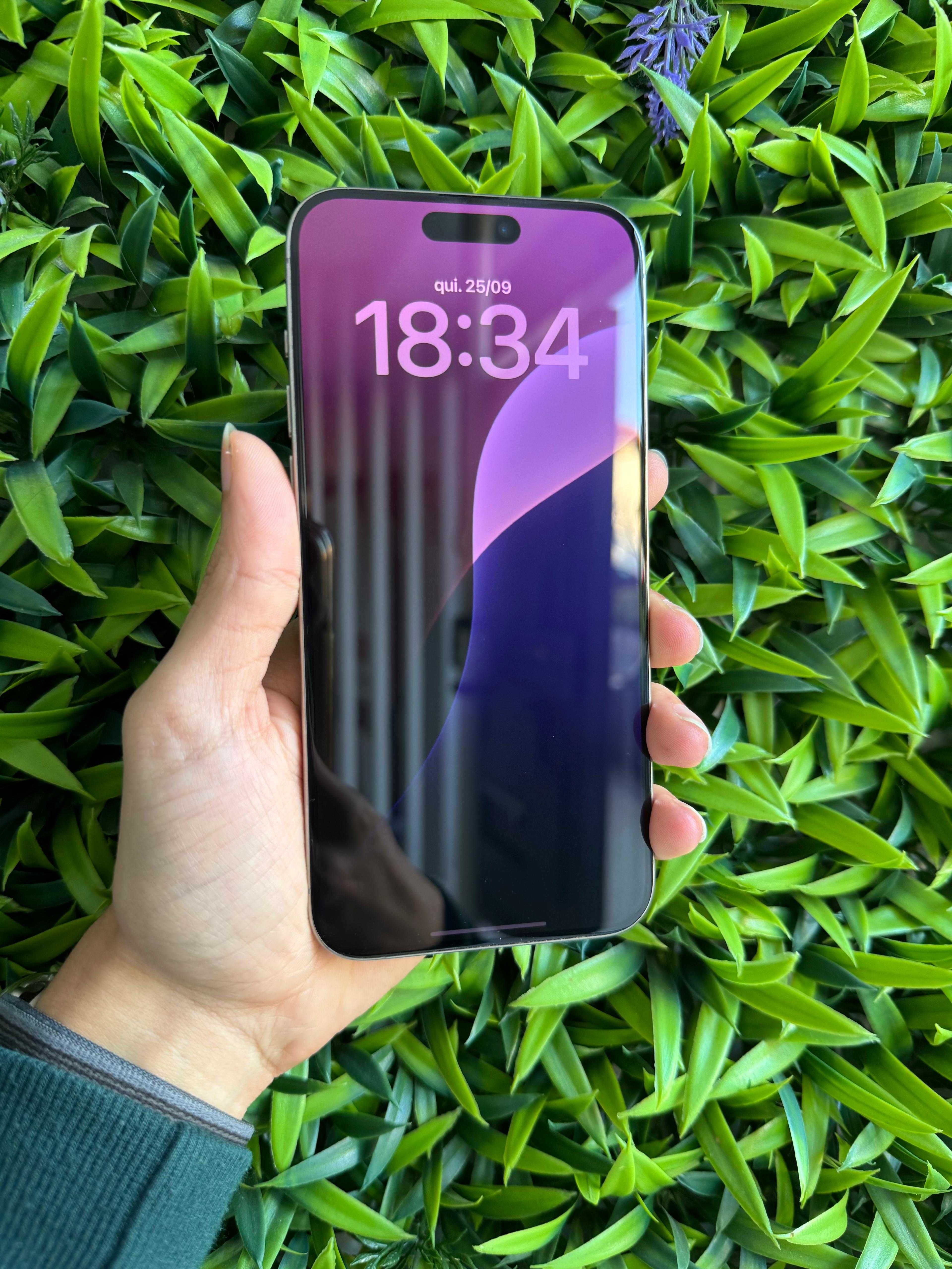 iPhone 15 Pro Max 6.7″ 256GB Titânio Natural - Loja Ovar