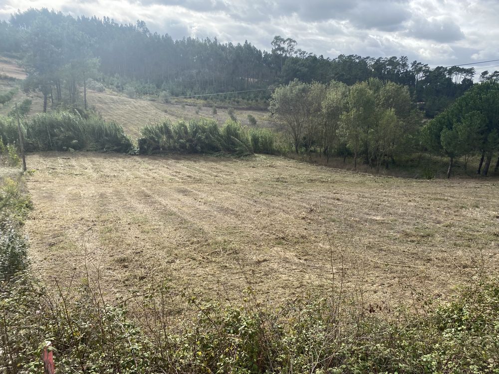 Vendo terreno Matas, Ourém