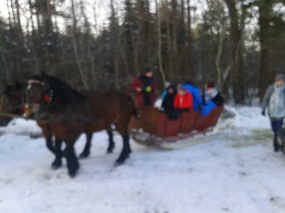 Samodzielny domek na ferie,wakacje,kuligi z ogniskiem i pochodniami.