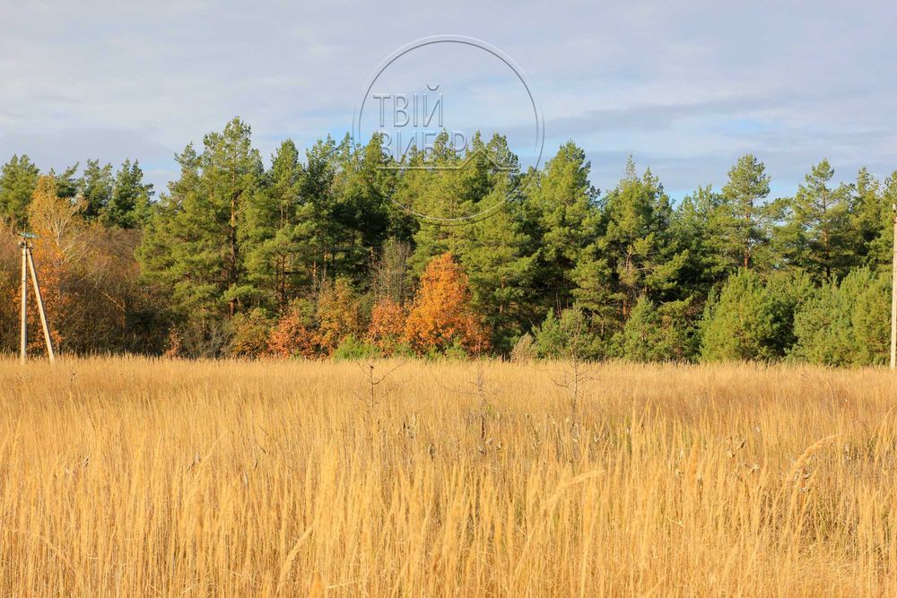Продаж Будинку Музичі Ліс Озеро