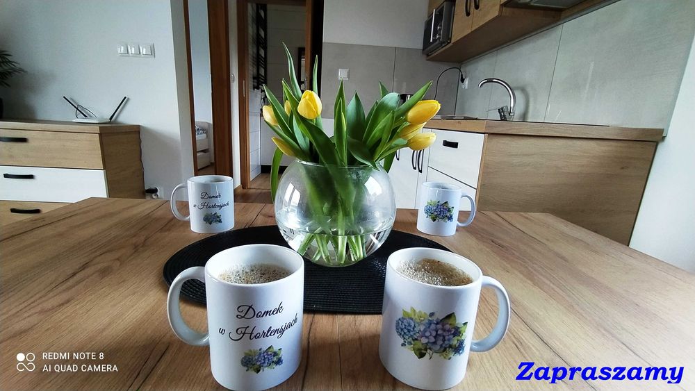 Noclegi, Jezioro Mucharskie, Energylandia, Wadowice, domek