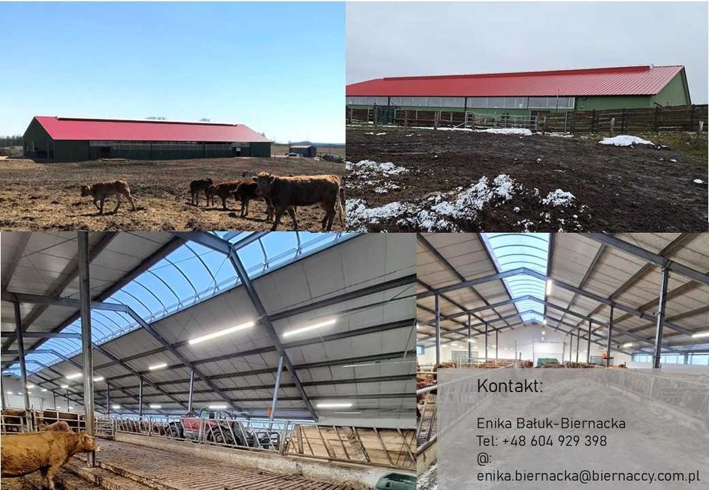 Ziemia rolna - 330 ha, hala użytkowa - 1120 m2, Warmińsko-Mazurskie