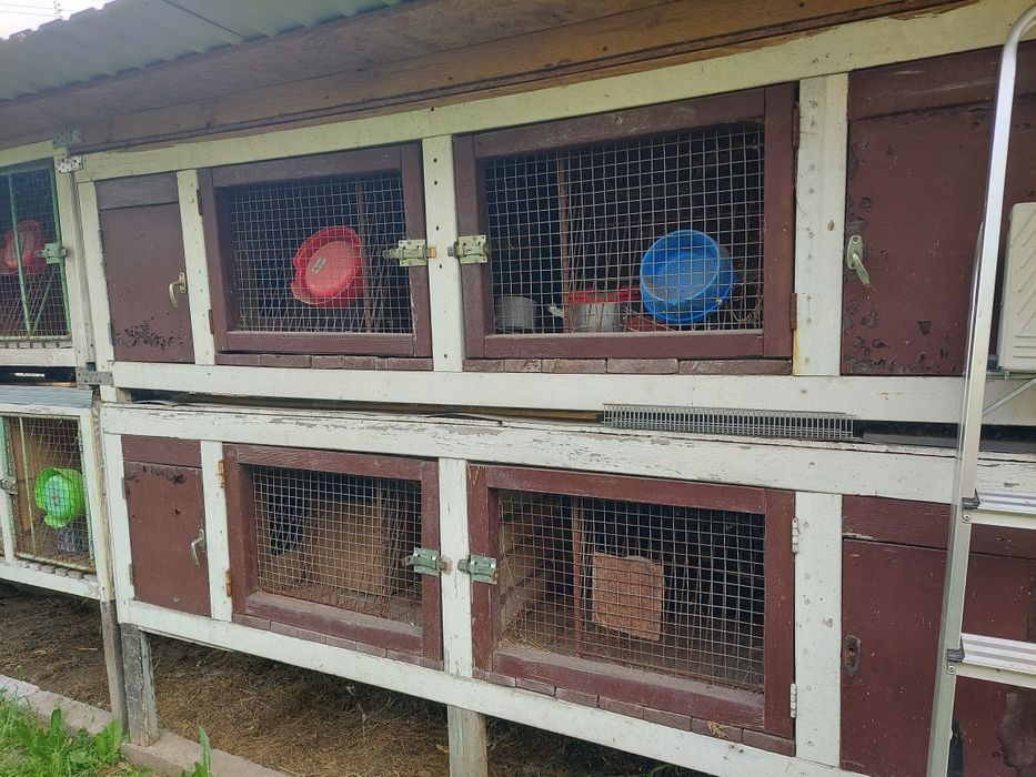 Продам гарні кролячі клітки б / у