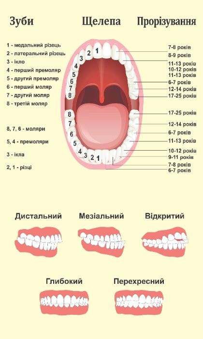 Плакати. Стенди, санбюлетні, поліграфія