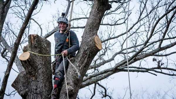 Видалення дерев, косіння трави, вичищення кущів.