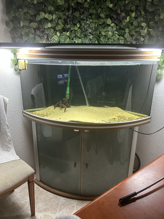Aquario Aquatlantis de canto (300 litros )