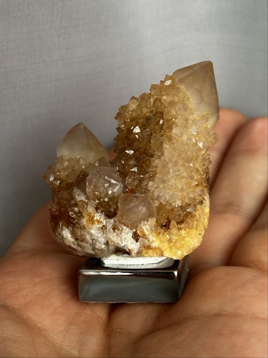 Kwarc kaktusowy, limonit - RPA