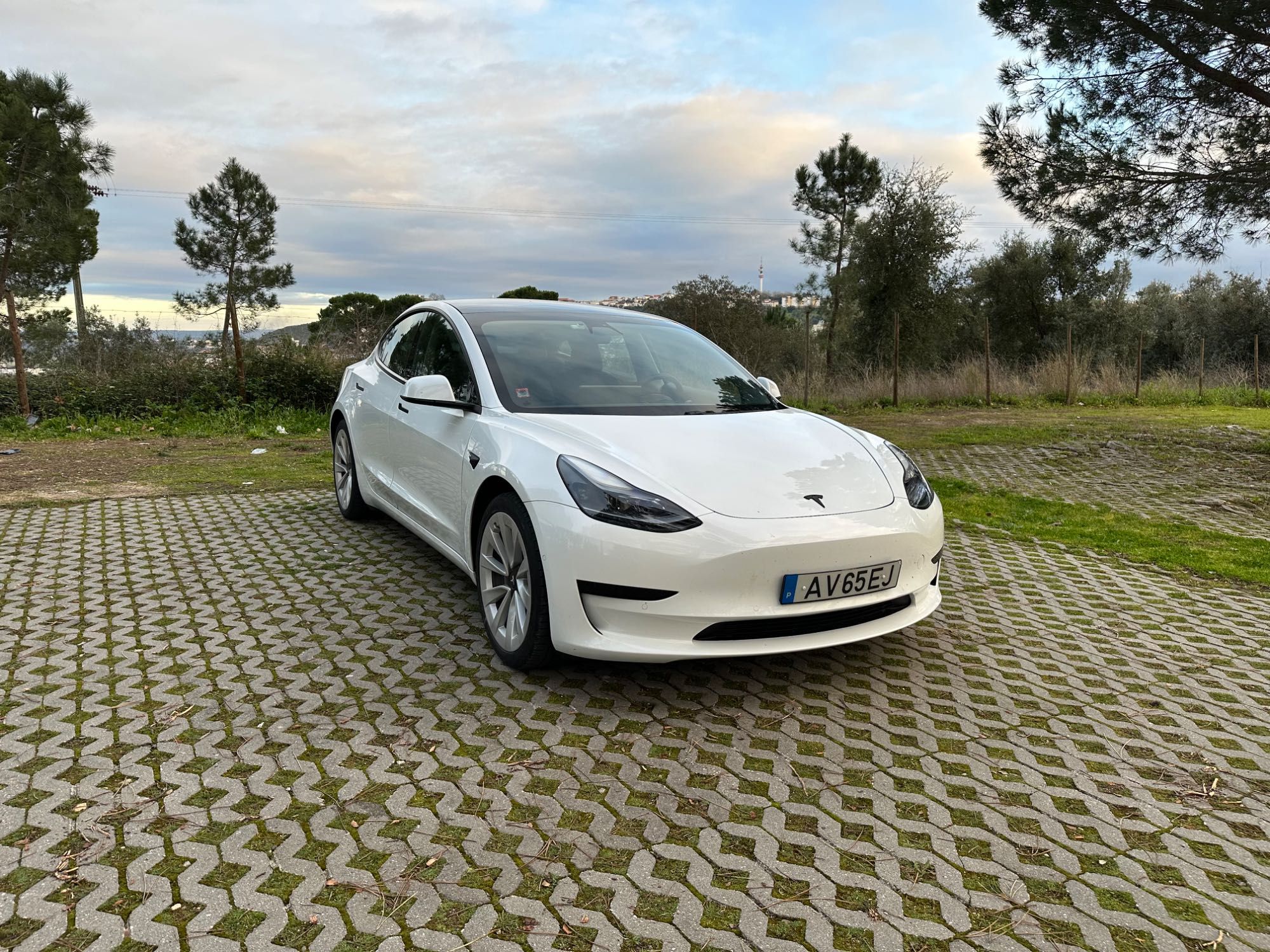 Tesla Model 3 Standard Range Plus de 2021 + Extras