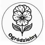 Sadzonka Orlik 4szt bylina okazja