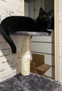 Drapak domek wieża legowisko szary dla kota zwierzęta sizal