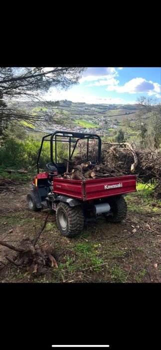 Kawasaki Mule 550 de 2004
