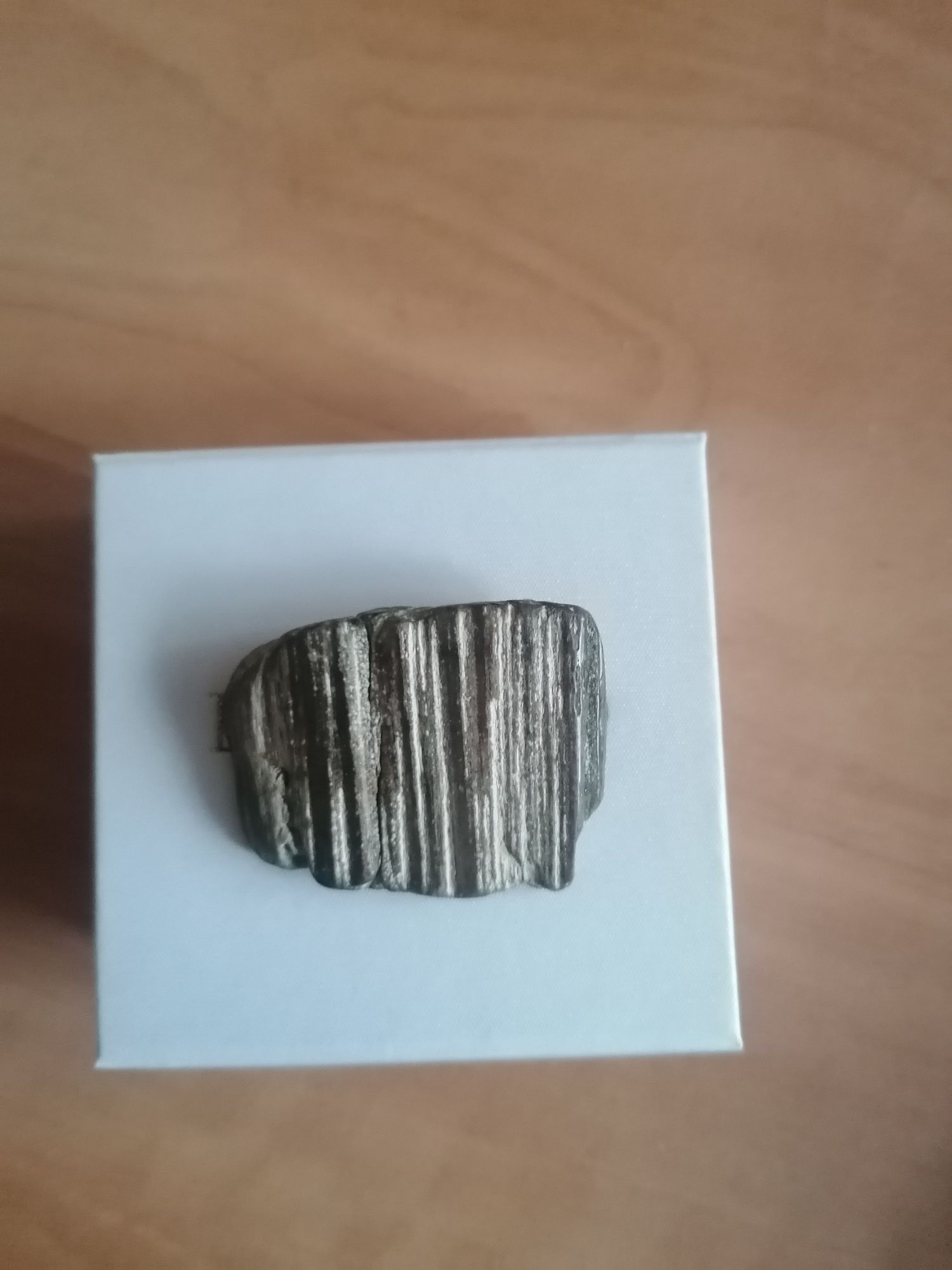 Broszka skamieniałe drewno