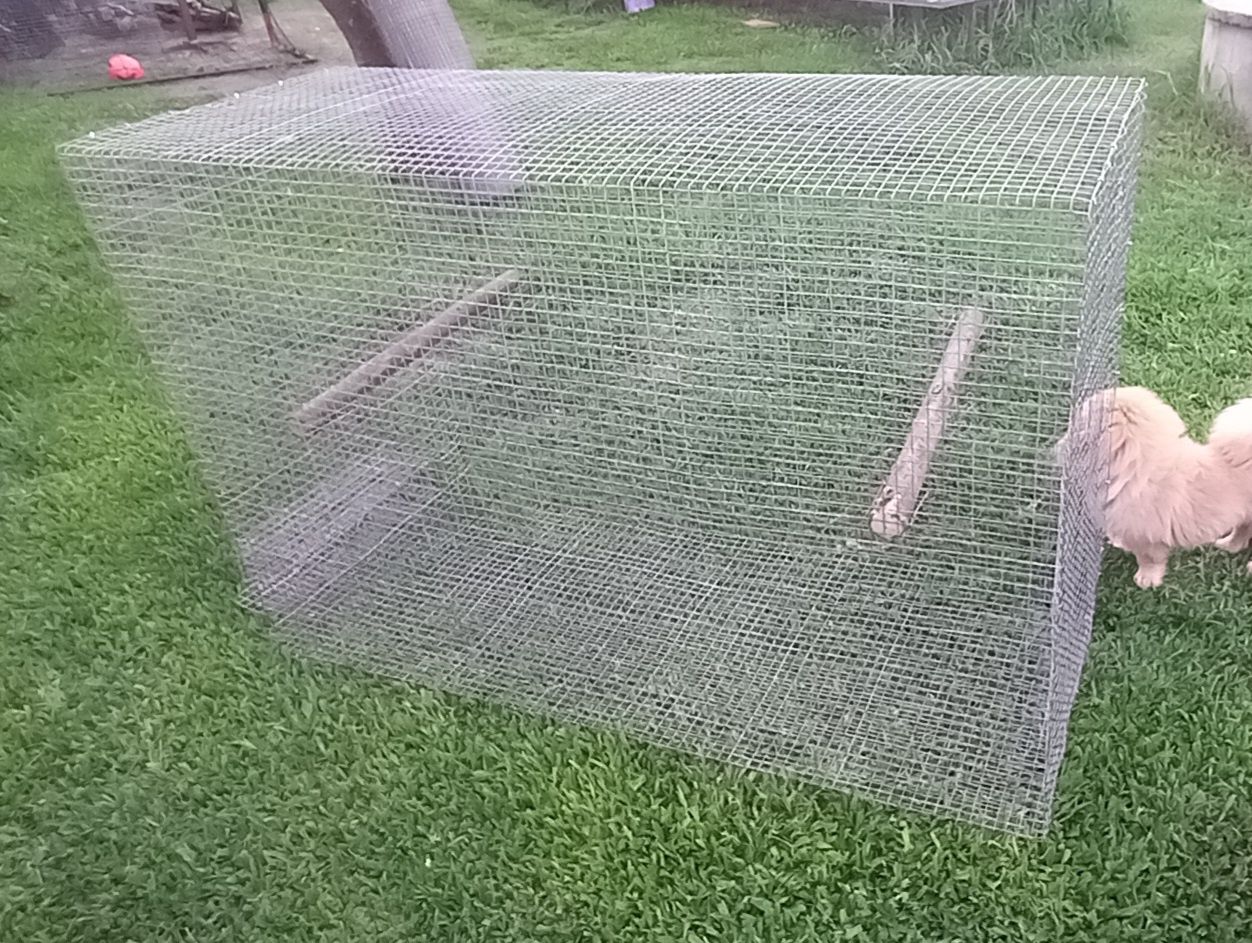 Gaiola nova c suporte taças