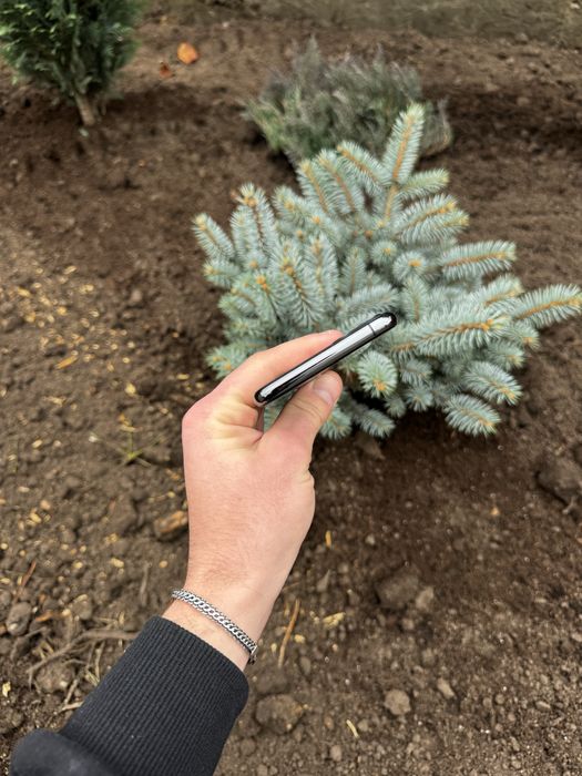 Iphone 11 pro max 64 gb olx доставка