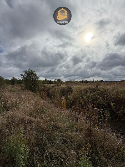 Продам земельну ділянку 7га, серед сосен, с.Рови