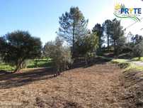 Terreno para construção situado em Fundada - Vila de Rei