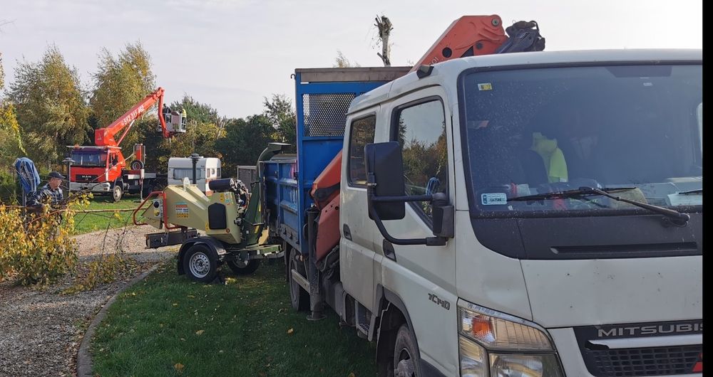 Wycinki drzew, met.alpinistycznymi, z użyciem dźwigów, podnośników