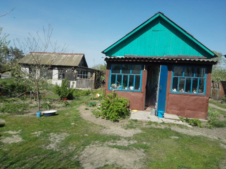 продам дом (усадьбу) в Конотопском р-не на берегу Сейма 45 соток