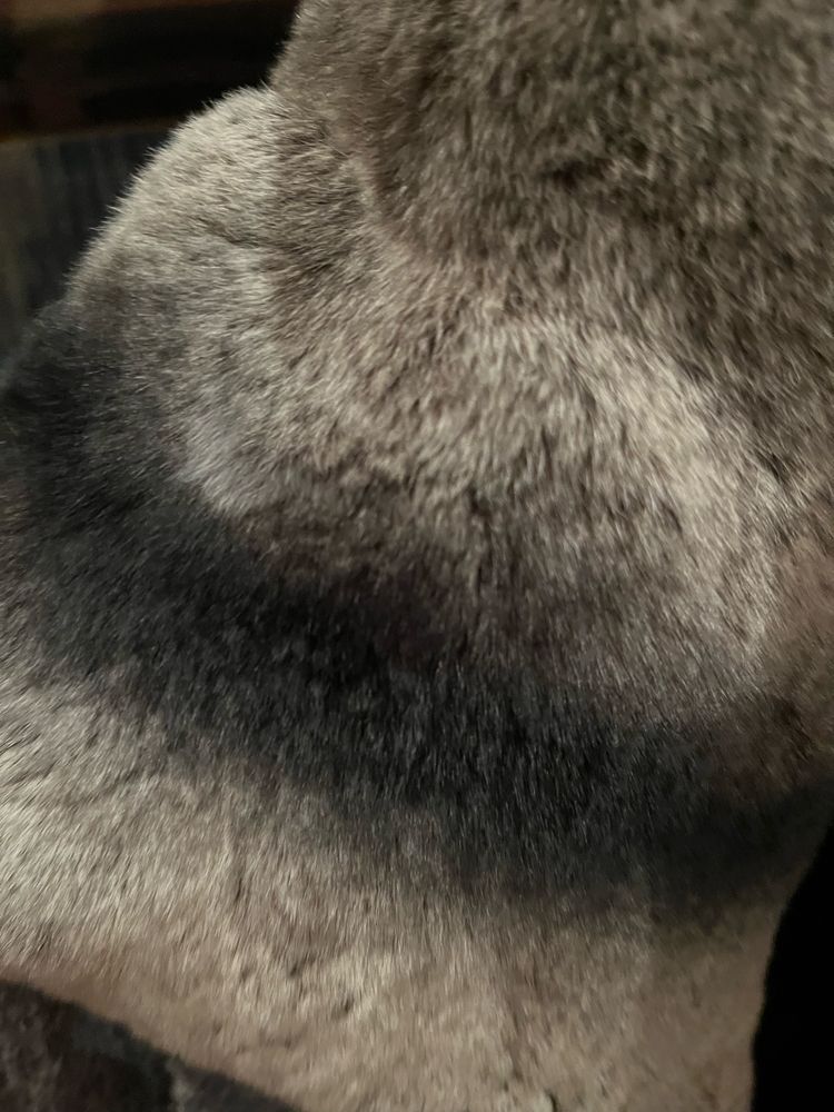 Gola muito bonita para adornar um casaco