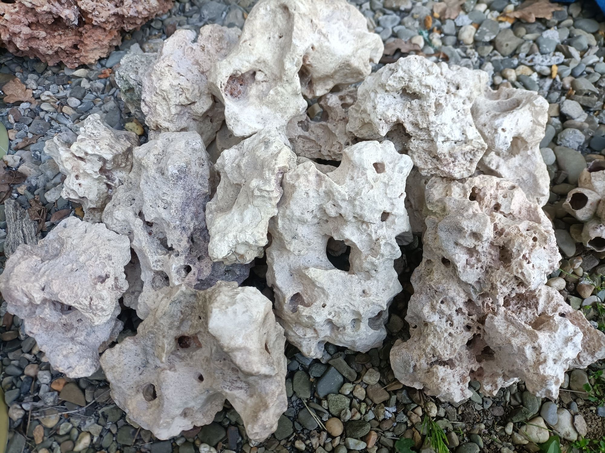 Kamienie filipińskie i wapień koralowy