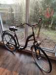 Rower damka DALLAS BIKE * 28 cali /rama 19// nowy