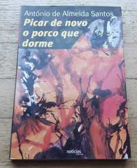 Picar de Novo o Porco que Dorme, de António de Almeida Santos