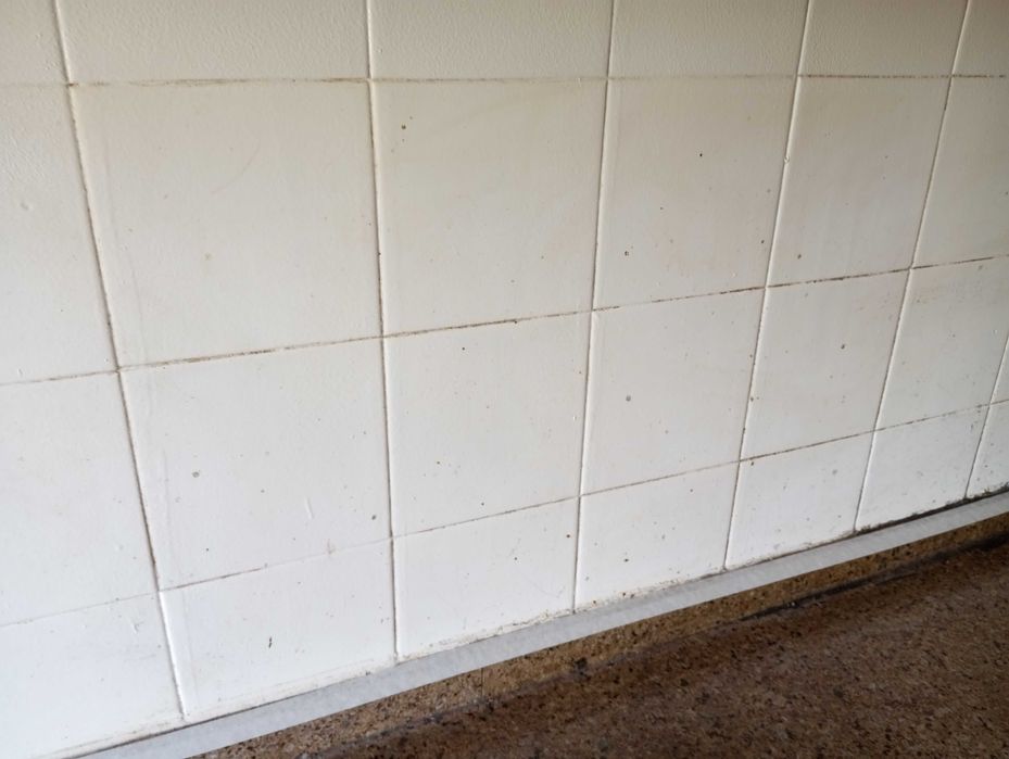 Arranjo estores no Cacém por 11.50€ em Janelas e em Portas 13.50€