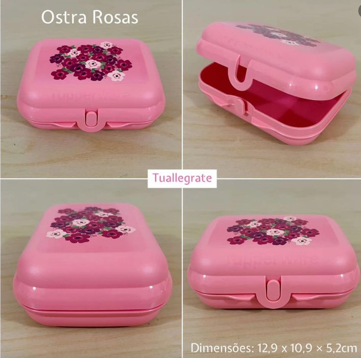 Caixa Ostra Rosas Tupperware