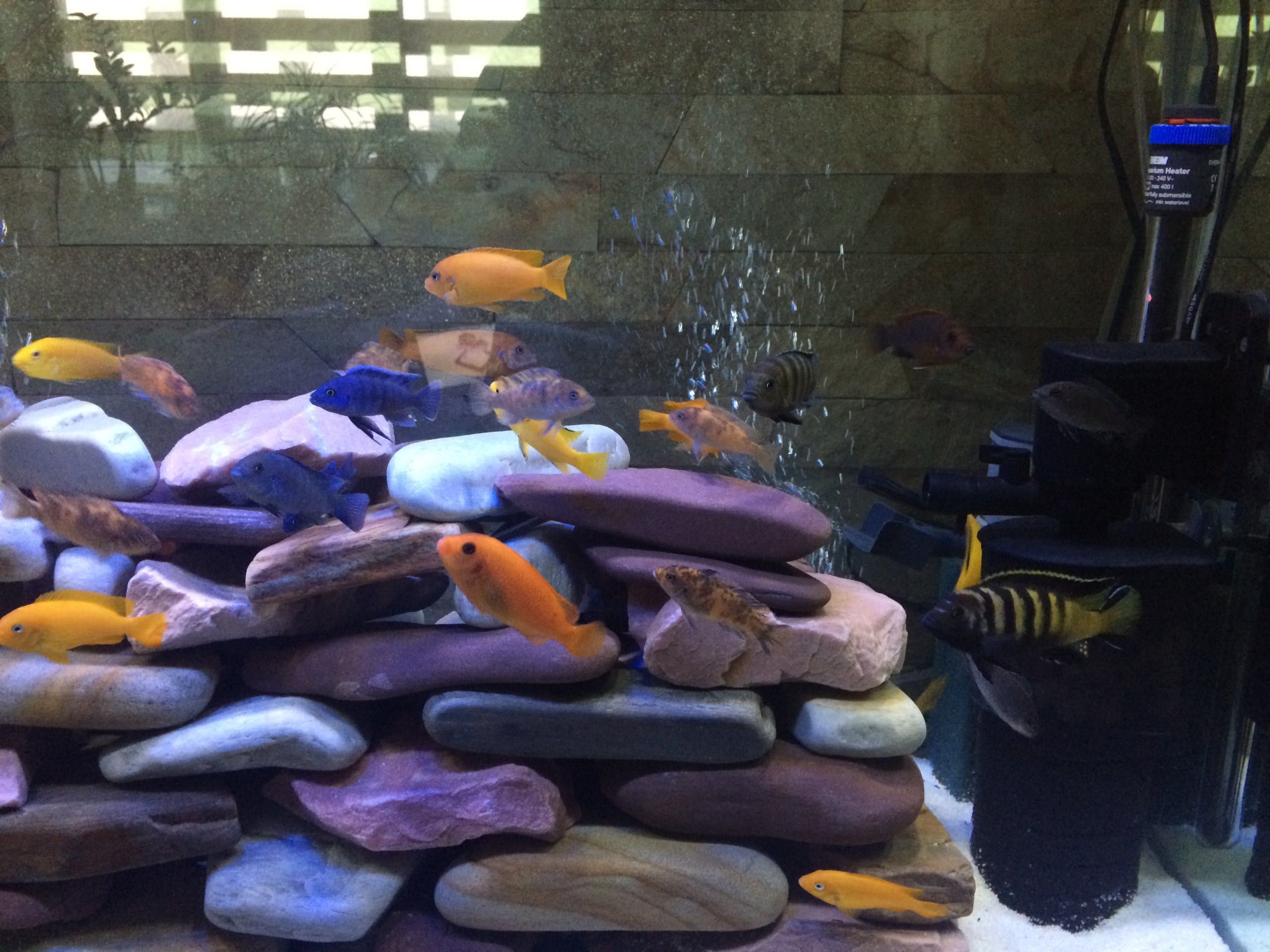 Продам б/у акваріум на 400 л +нагрівач+два фільтри з губками + каміння