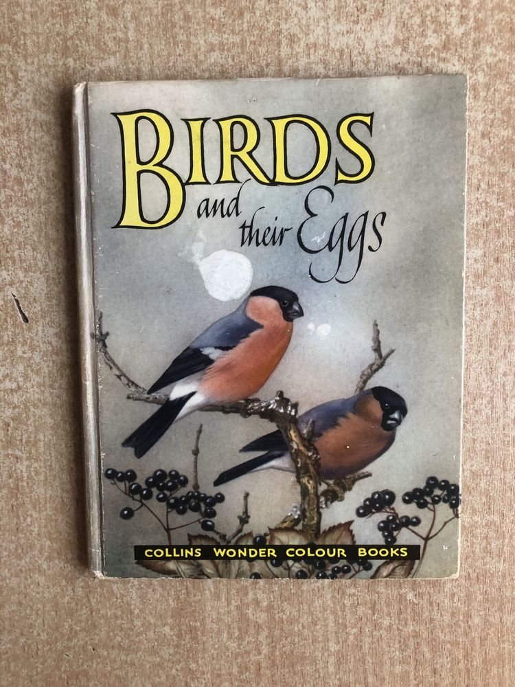 Винтажная книга. Birds and their Eggs.