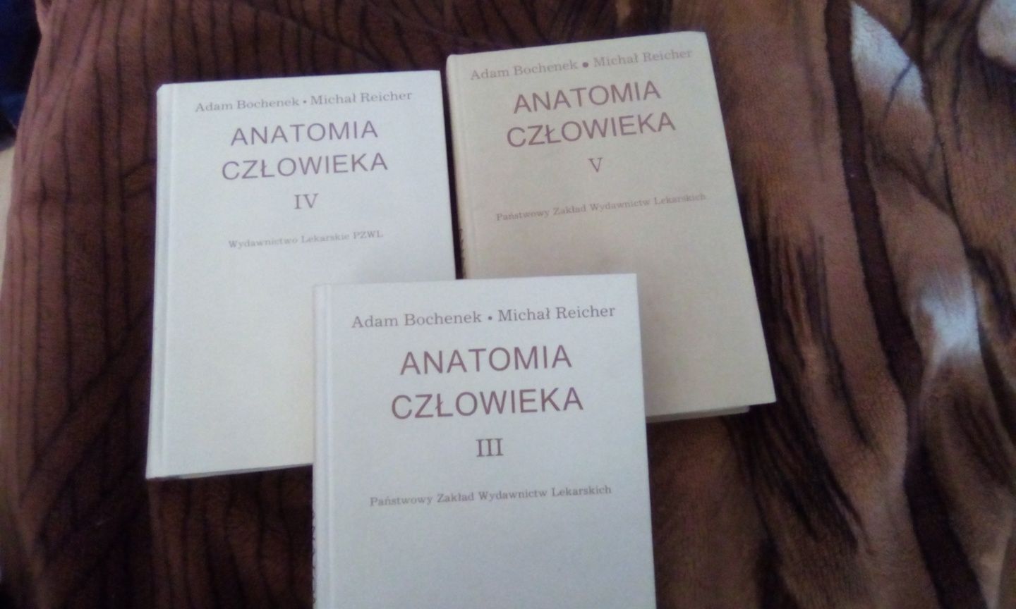 Anatomia człowieka 1-5 Bochenek Reicher komplet