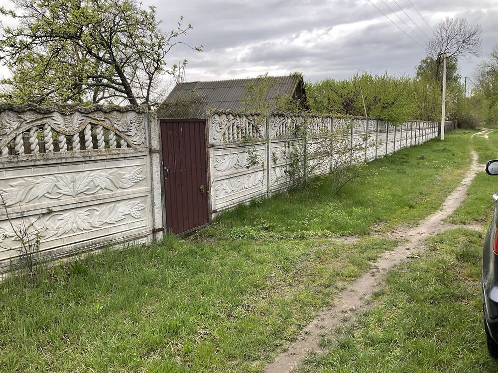 Земельна ділянка під сосновим лісом