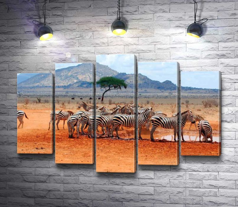 Продам картину ""Зебри біля водопою""