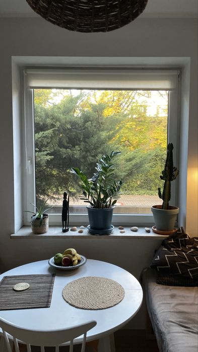 Wynajmę - Kawalerka w parku Kępa Potocka / Żoliborz