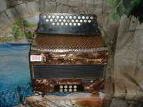 Concertina para venda N, 884