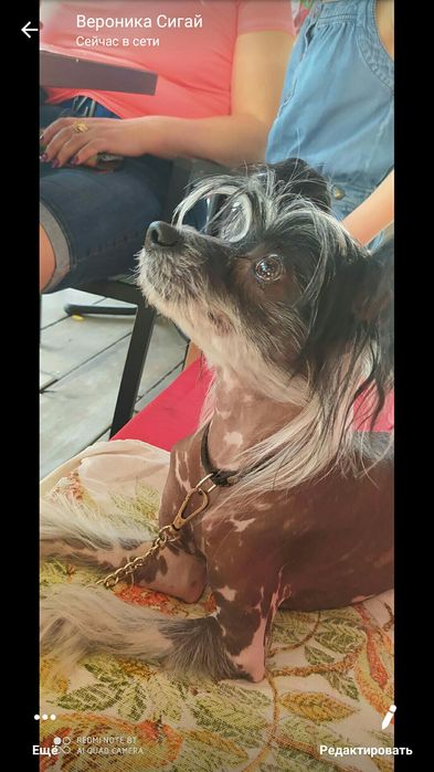 Красавец мужчина