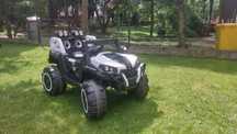 Auto elektryczne typu buggy