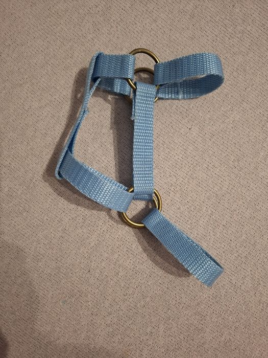 Hobby horse A4 skokowy